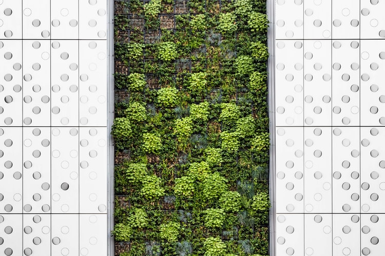 Calendrier Lunaire Avril 2021