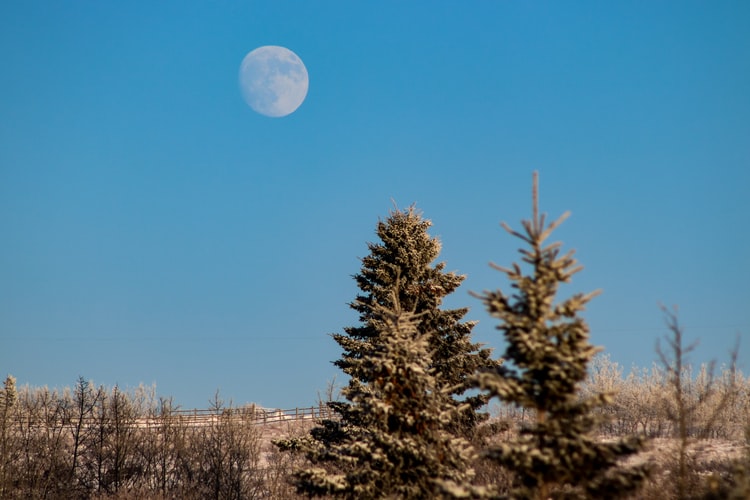 Jardiner Avec La Lune