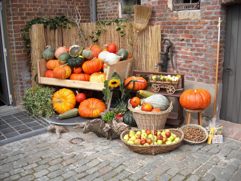 Légumes fruits d'automne