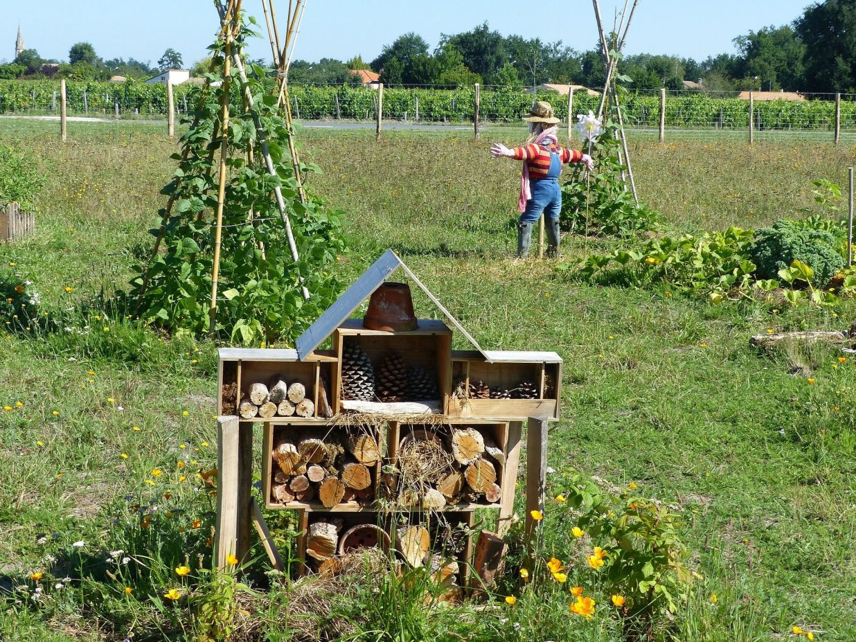 Jardin permaculture