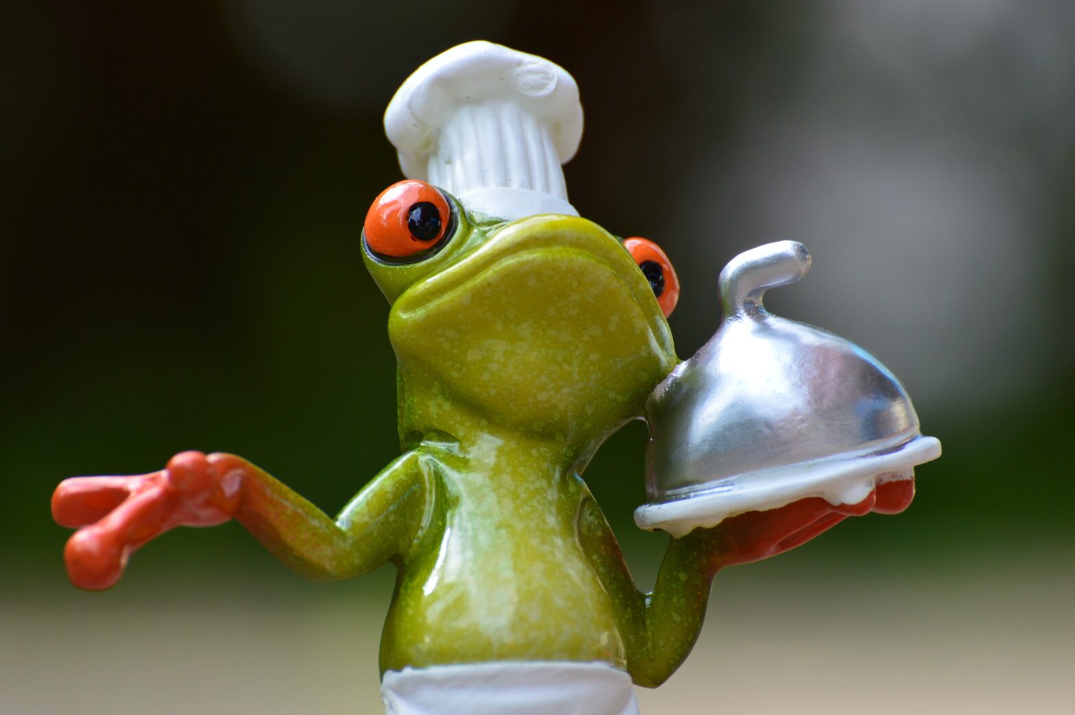 grenouille qui cuisine