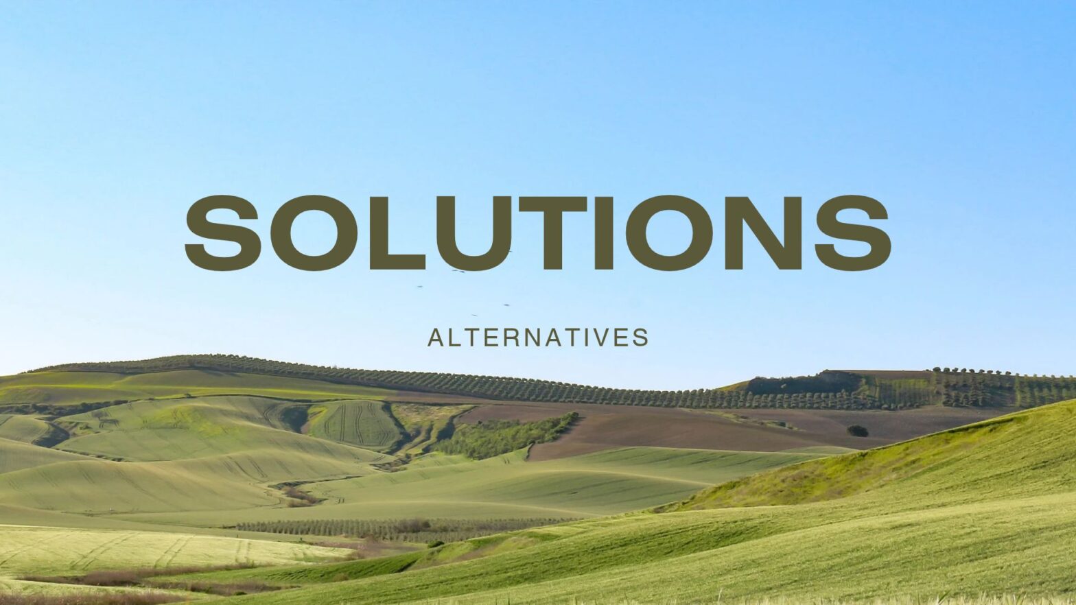SOLUTIONS ALTERNATIVES