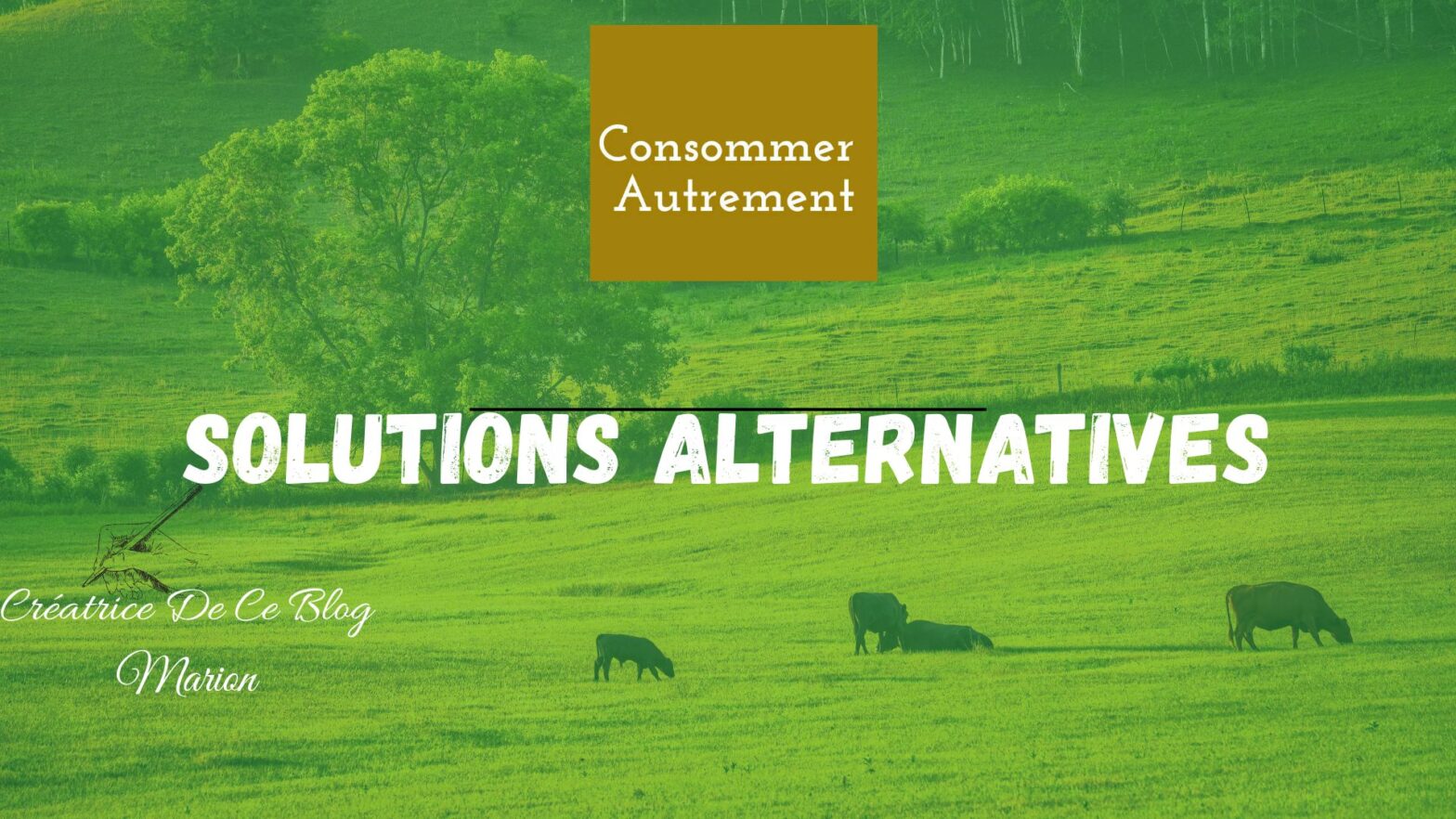 solutions alternatives page officiel