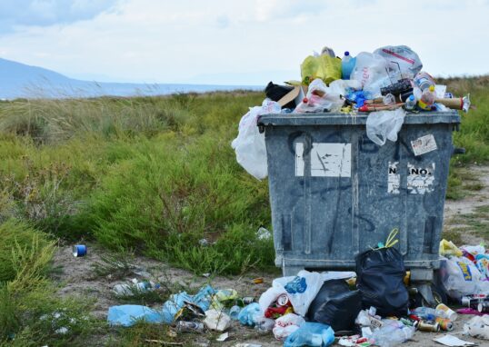Poubelle dans la nature à l'extérieur