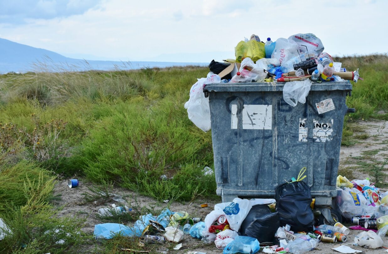 Poubelle dans la nature à l'extérieur